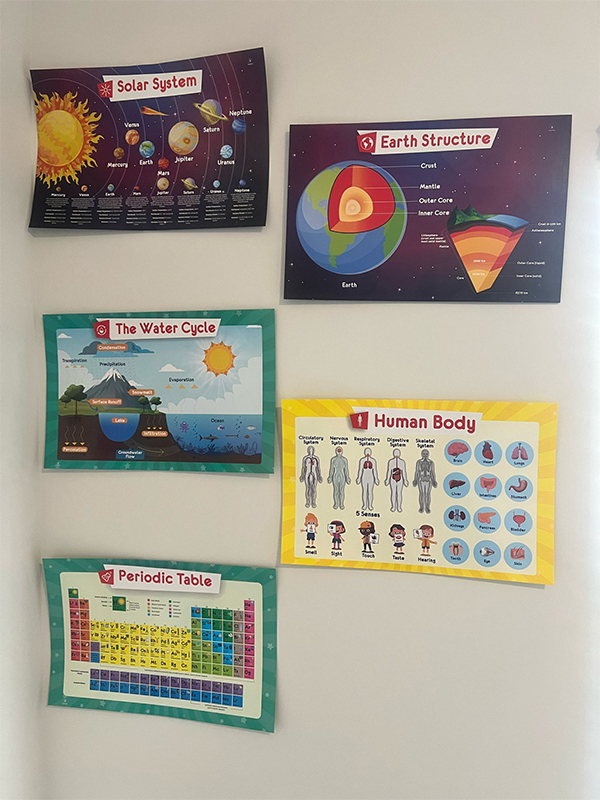 Home gallery 0008 img2