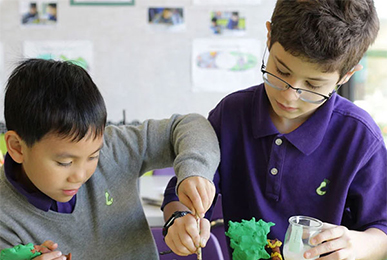 tutor for school projects and home work