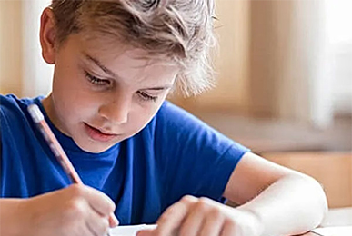 tutoring services for essay writing in Rome